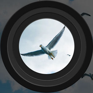 Binocolo 60x60 di Alta Qualità con Visione Notturna per Avventure all'Aperto