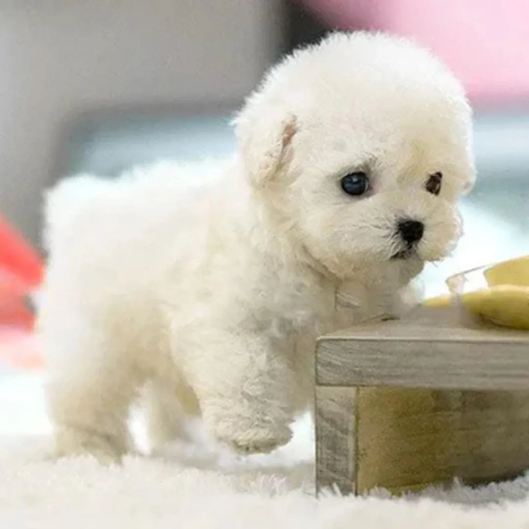 Cane di peluche interattivo realistico - Peluche verosimile con movimento