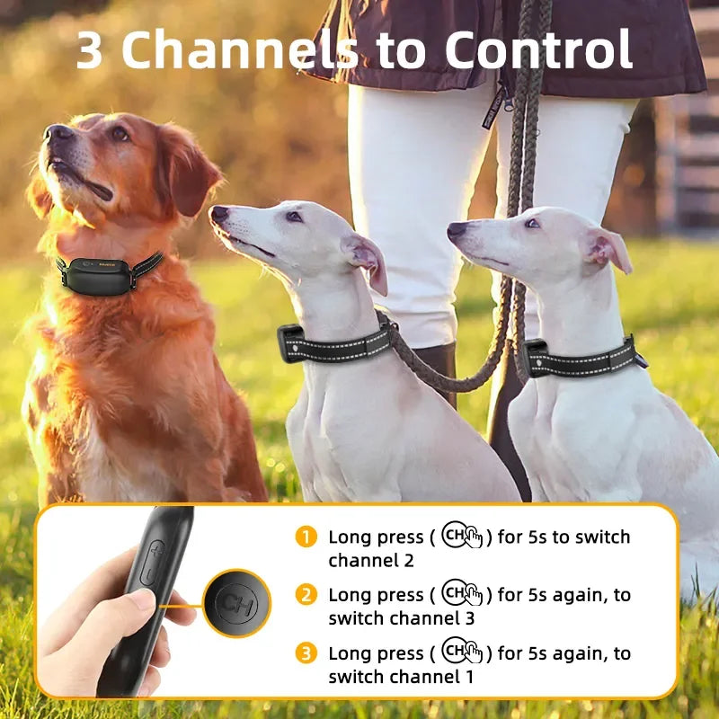 Collare addestramento cani ricaricabile e impermeabile con telecomando
