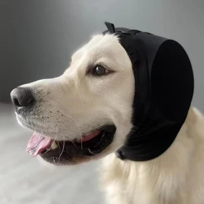 Cuffie protettive per cani per la riduzione del rumore e il comfort