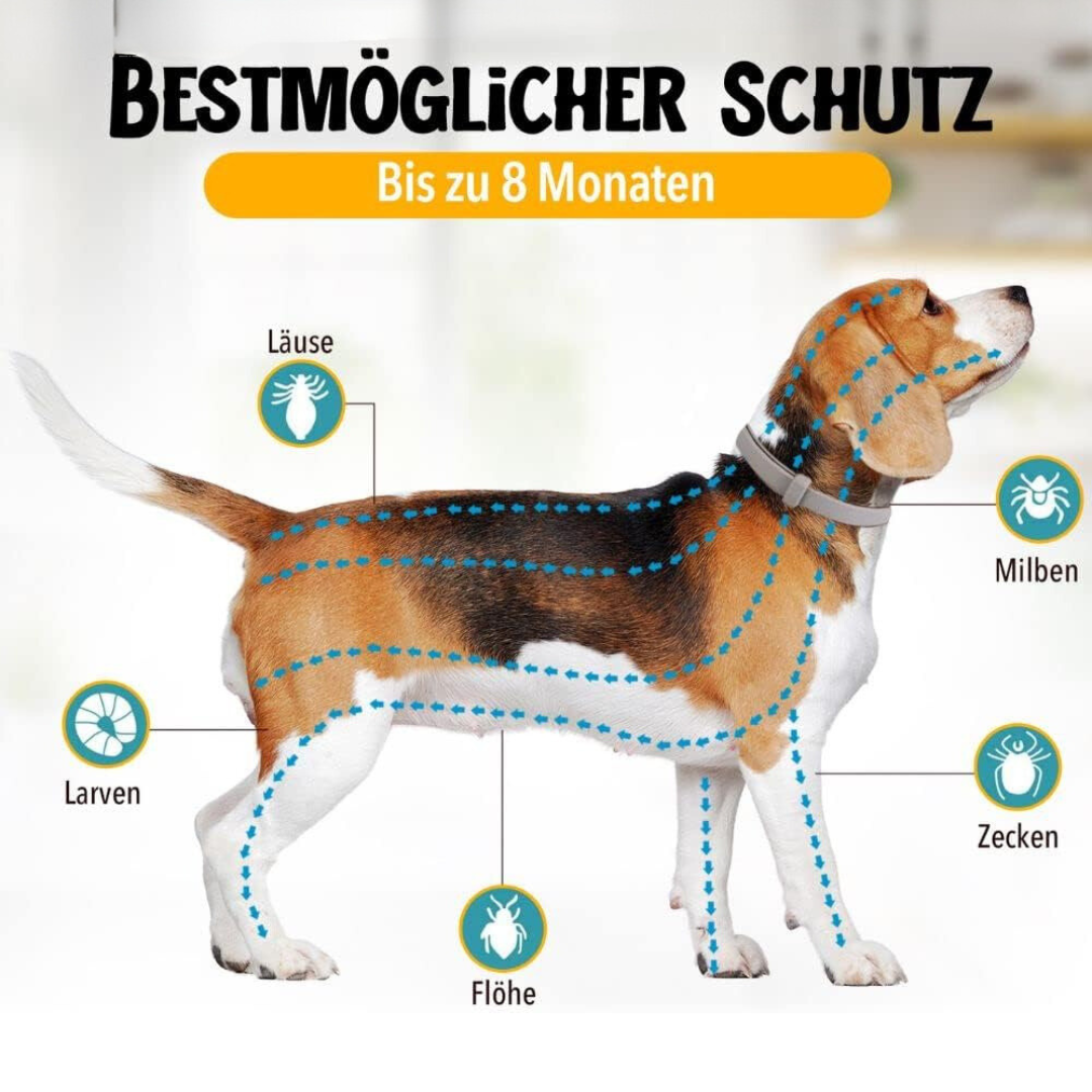 Protezione naturale antipulci e antizecche per cani
