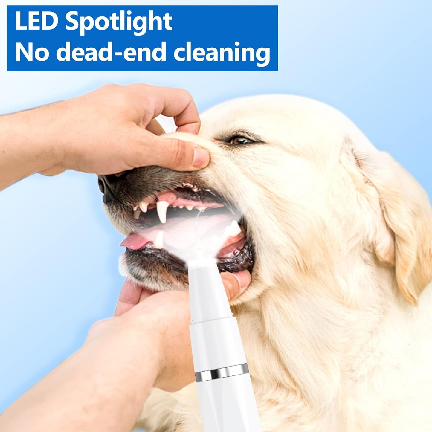 Pulitore per denti ad ultrasuoni per cani e gatti per l'igiene dentale professionale