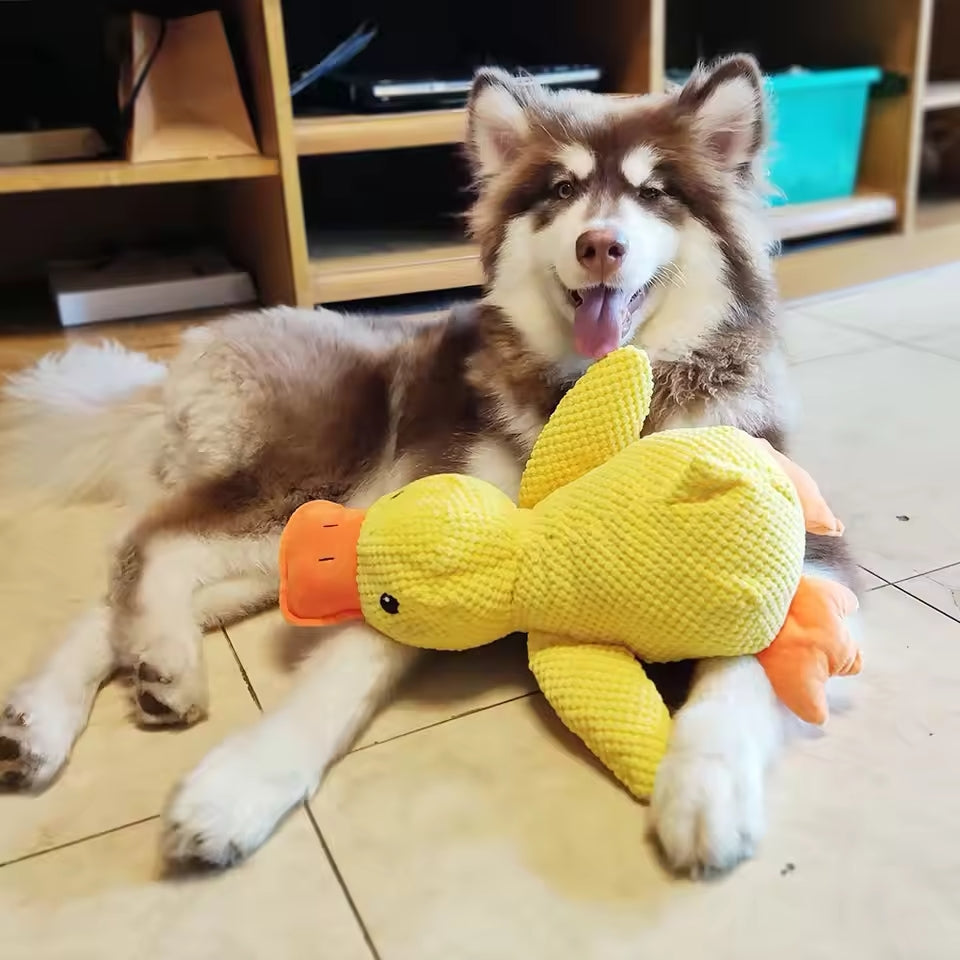 Anatra calmante - Per la felicità e il benessere del tuo cane
