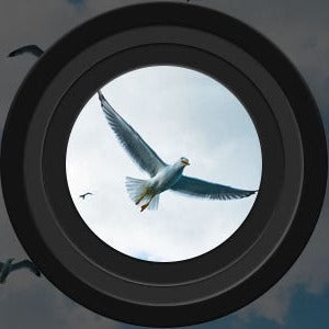 Binocolo per visione notturna a lungo raggio