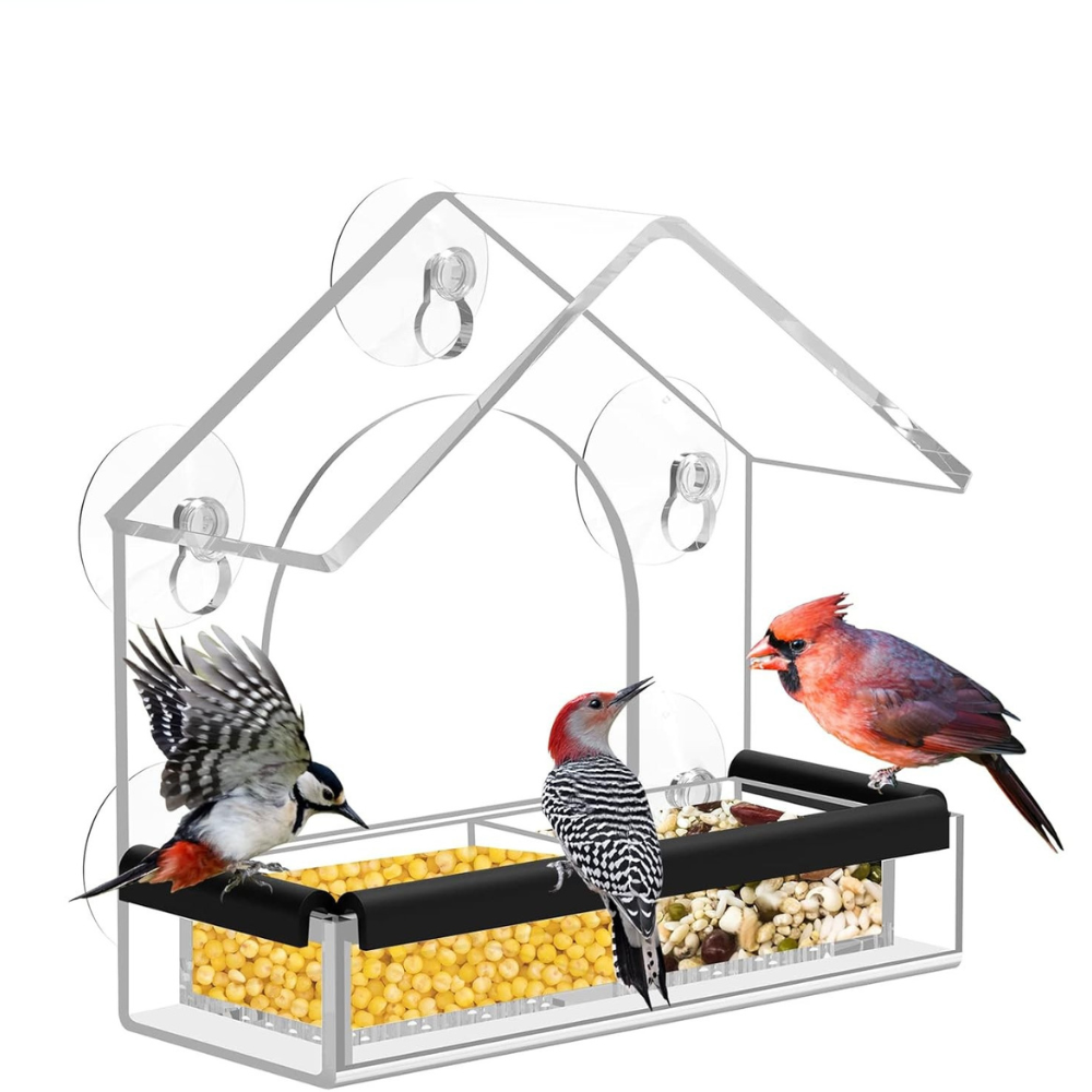 Casetta mangiatoia per uccelli da finestra in acrilico moderno con ventose – ideale per l'osservazione degli animali, facile da pulire, 18 x 12,5 cm