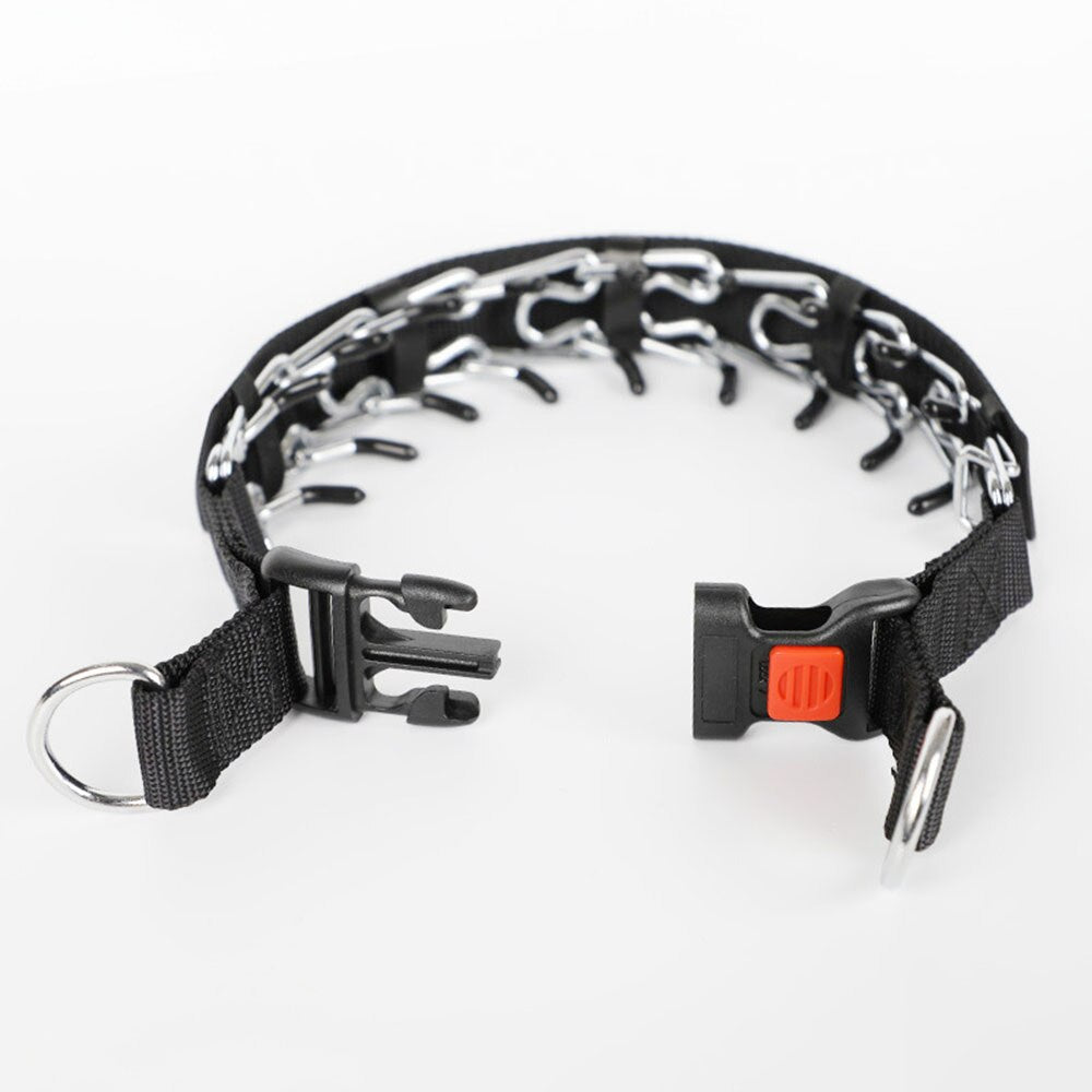 Collare a punte per cani – Stile C