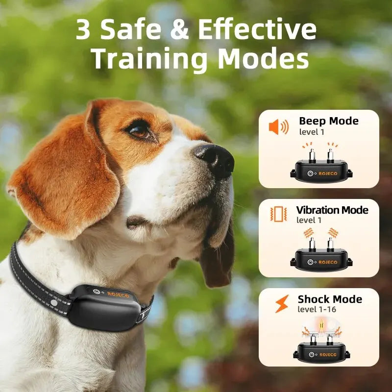 Collare addestramento cani ricaricabile e impermeabile con telecomando
