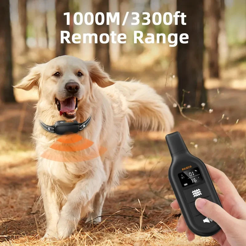 Collare addestramento cani ricaricabile e impermeabile con telecomando