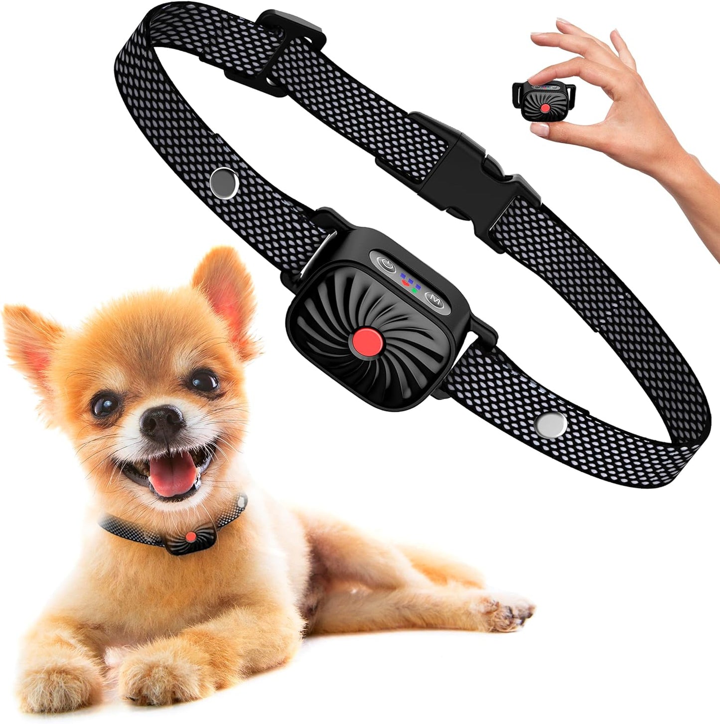 Collare Antiabbaio per Cani di Piccola Taglia