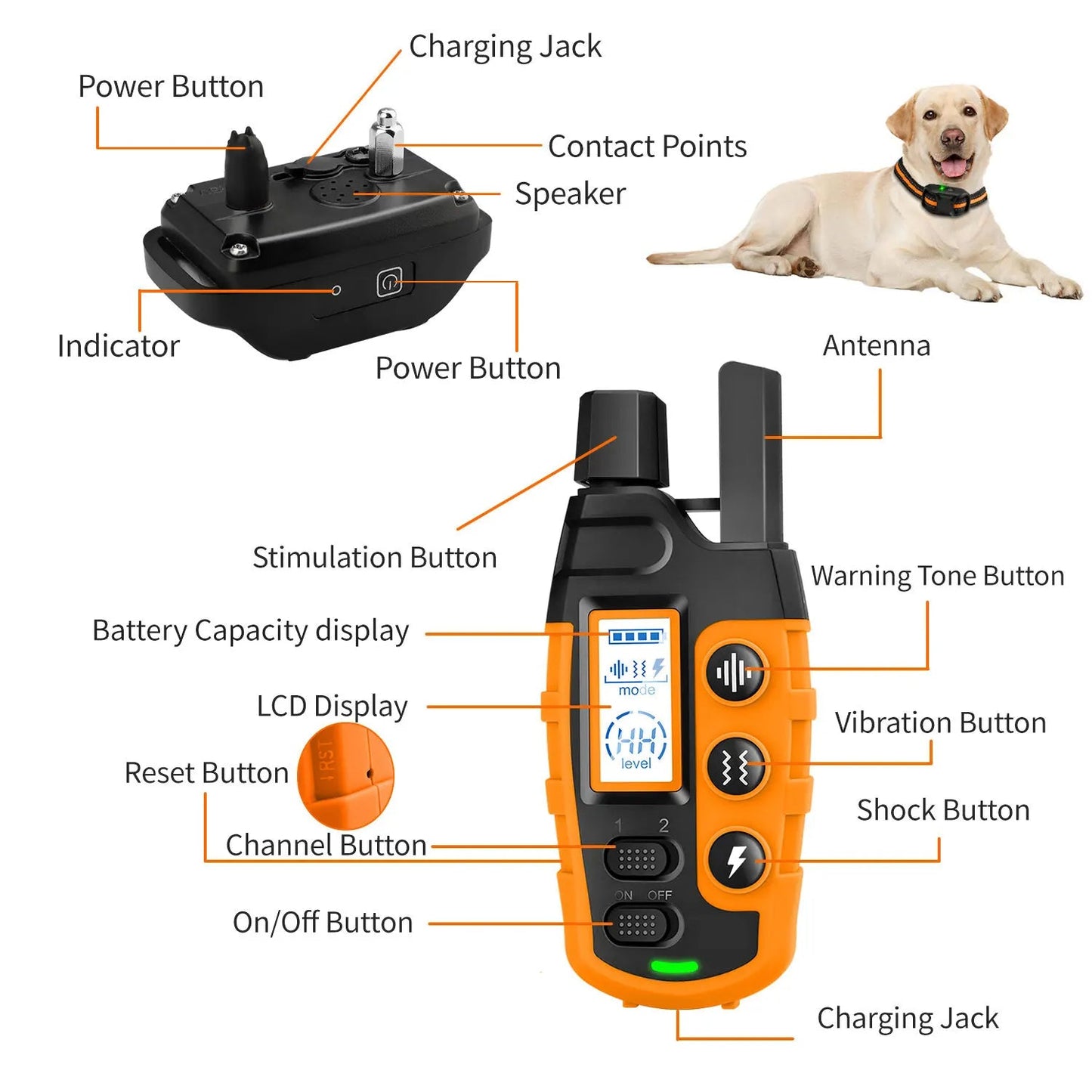 Collare elettrico per addestramento cani – portata di 1000 m