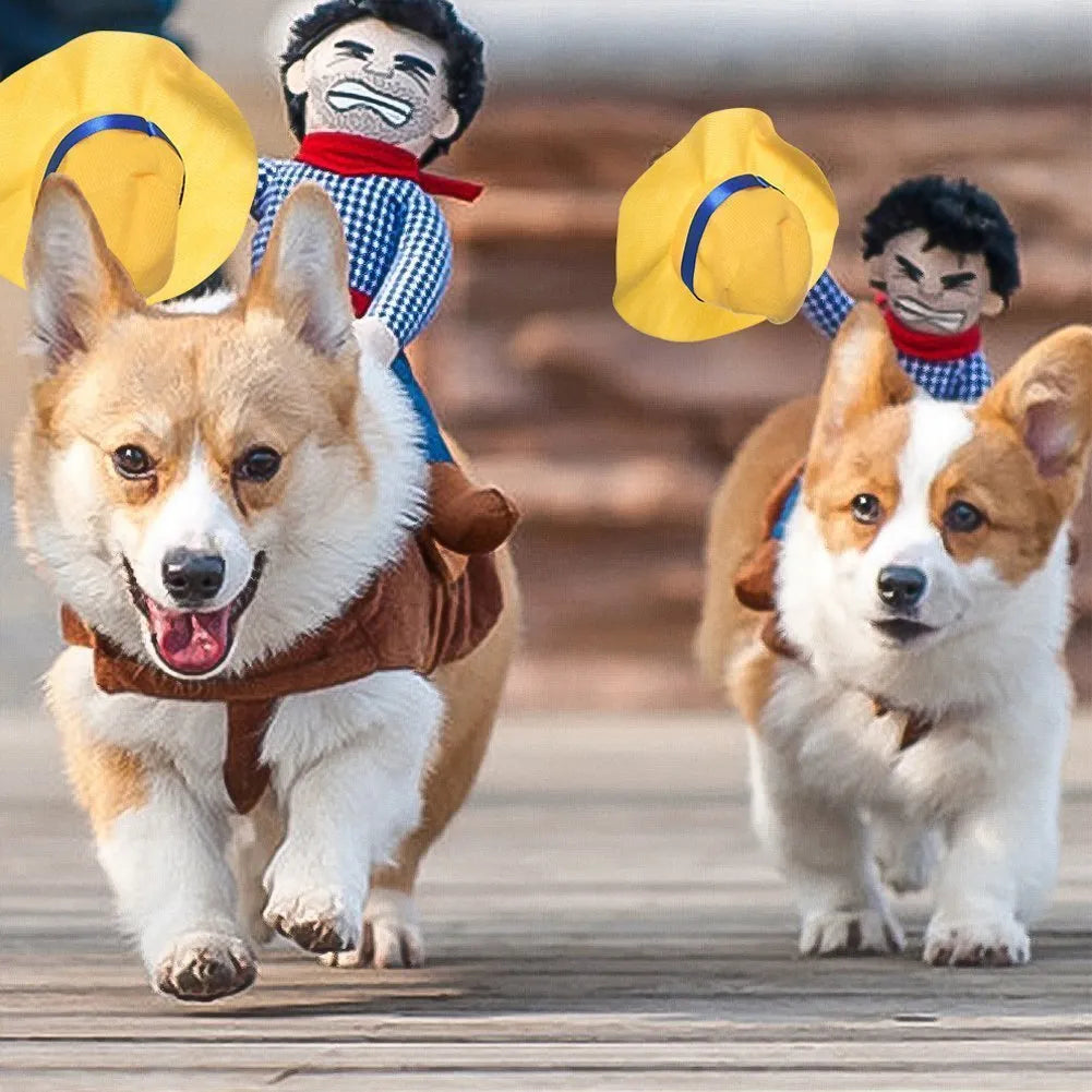 Costume di Halloween per cani