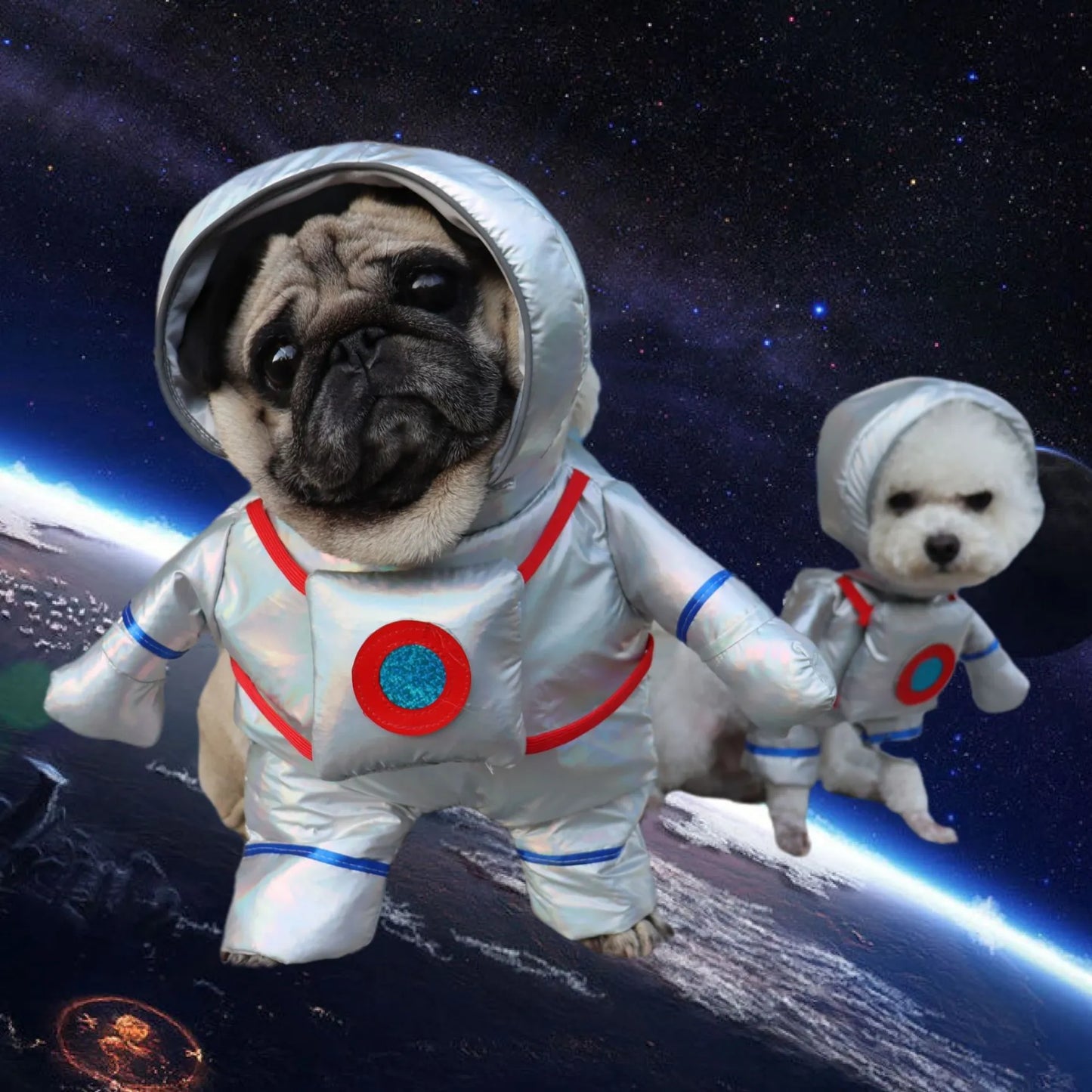 Costume di Halloween per cani
