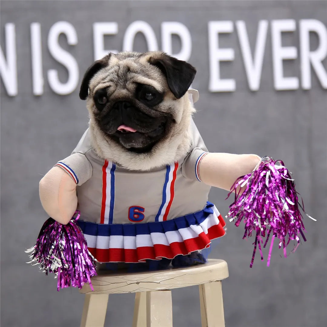 Costume di Halloween per cani
