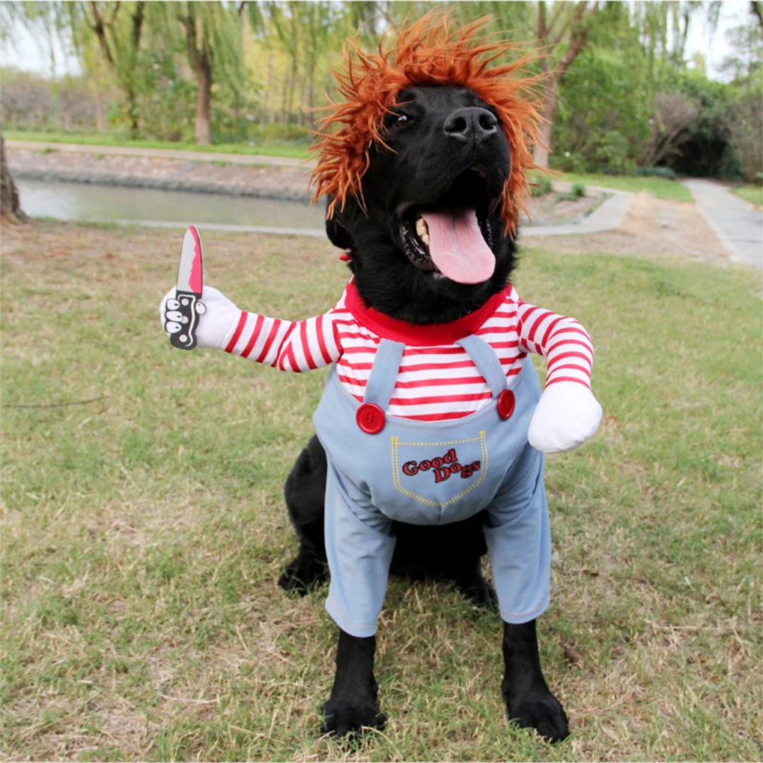 Costume di Halloween per cani