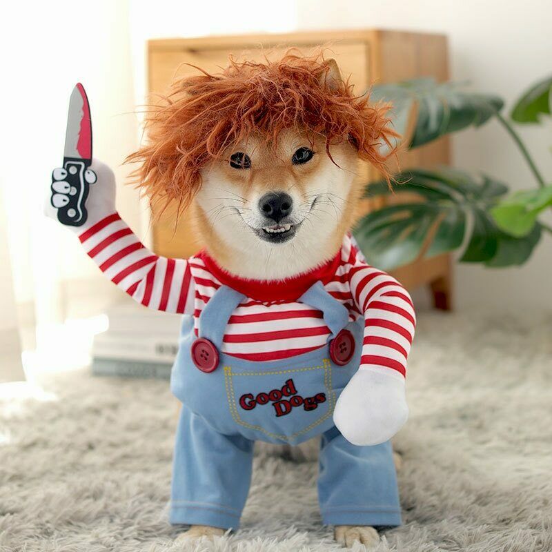 Costume di Halloween per cani