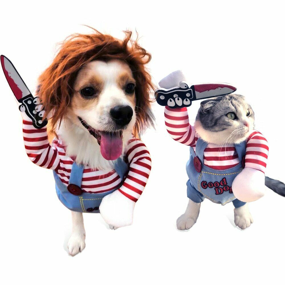 Costume di Halloween per cani
