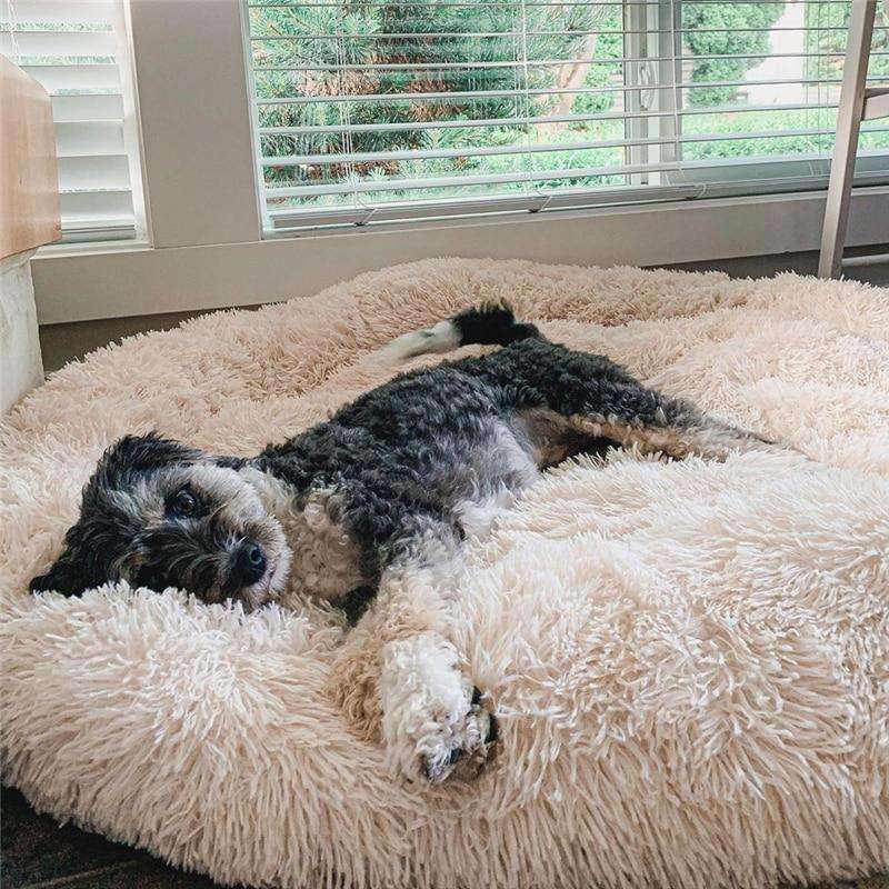 Cuccia a Ciambella Soffice e Antiansia per Cani di Tutte le Taglie