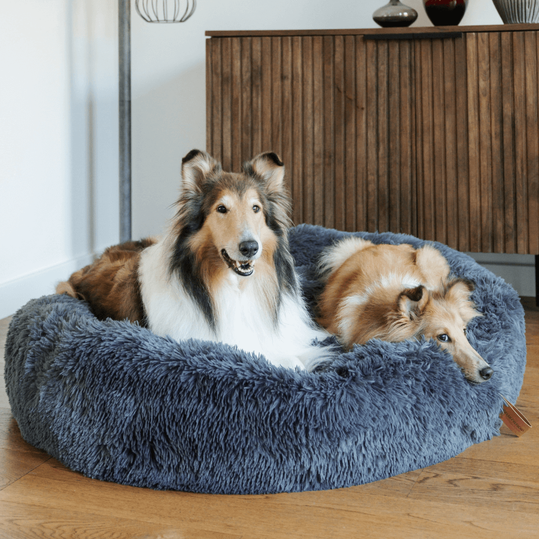 Cuccia a Ciambella Soffice e Antiansia per Cani di Tutte le Taglie
