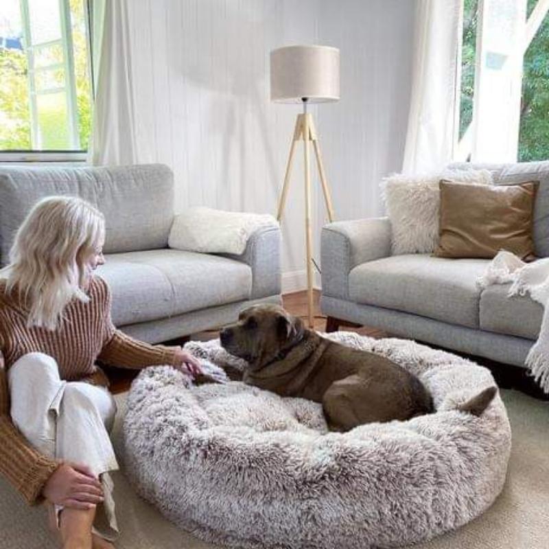 Cuccia a Ciambella Soffice e Antiansia per Cani di Tutte le Taglie