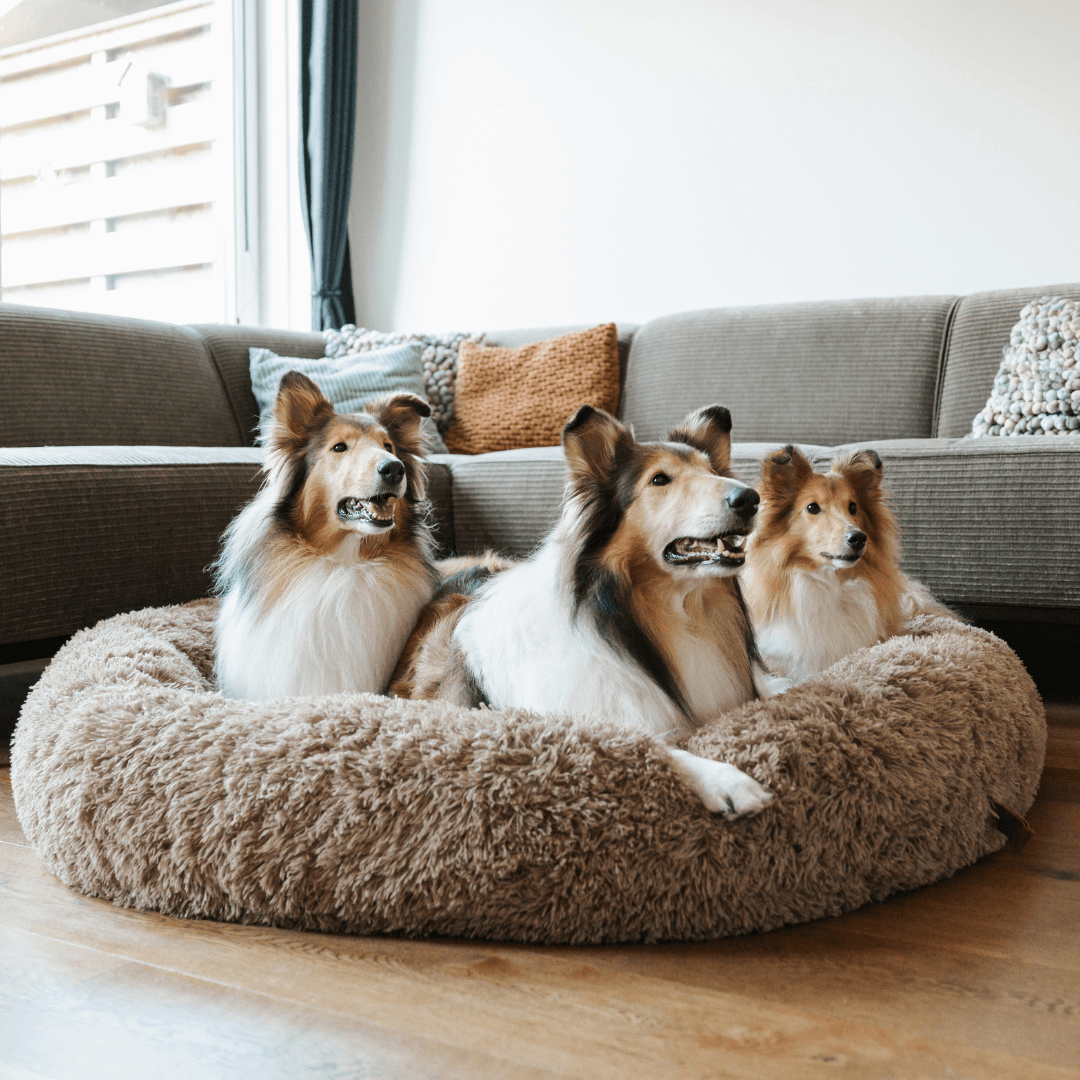 Cuccia a Ciambella Soffice e Antiansia per Cani di Tutte le Taglie