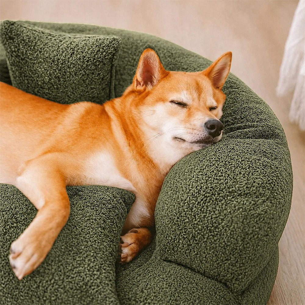 Cuccia Ortopedica per Cani a Ciambella in Velluto Diamond per il Massimo Comfort