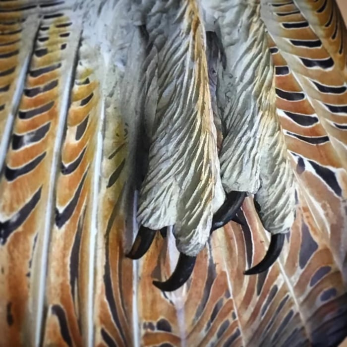 Decorazione da parete in legno – Gufo Majestic