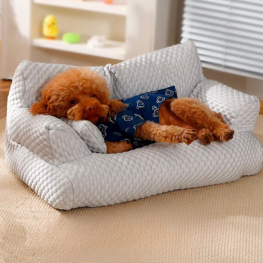 Divano Refrigerante per Cani in Tessuto Traspirante