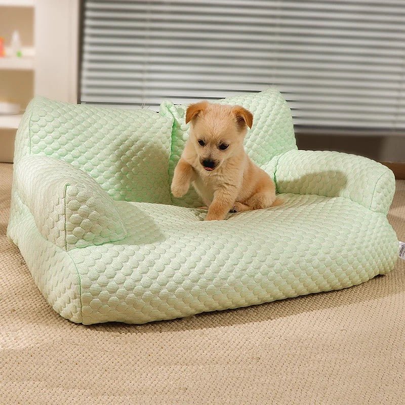Divano rinfrescante per cani