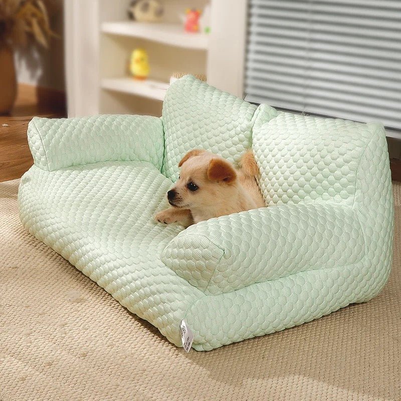 Divano rinfrescante per cani