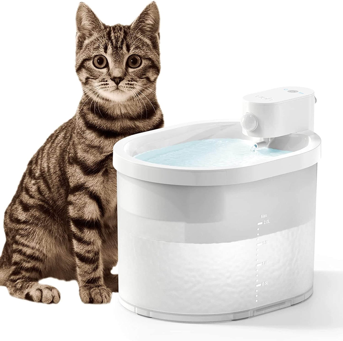 Fontanella intelligente per gatti con sensore