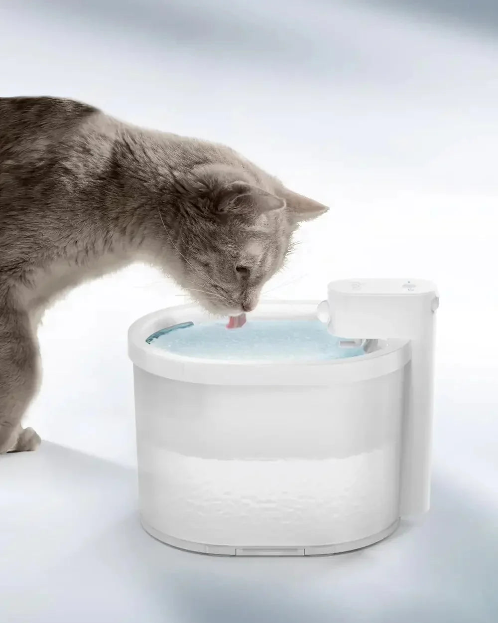 Fontanella intelligente per gatti con sensore