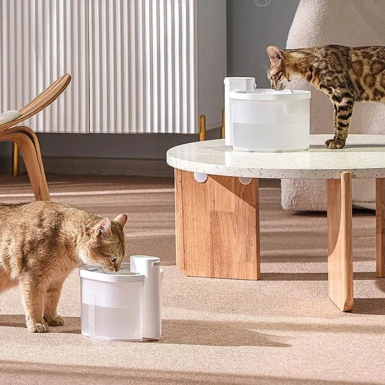 Fontanella intelligente per gatti con sensore