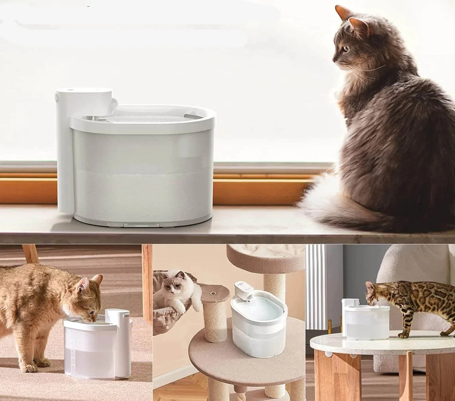 Fontanella intelligente per gatti con sensore