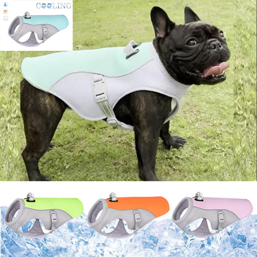 Gilet Rinfrescante Estivo per Bouledogue Francese, Traspirante, Resistente al Calore e Protettivo dal Sole