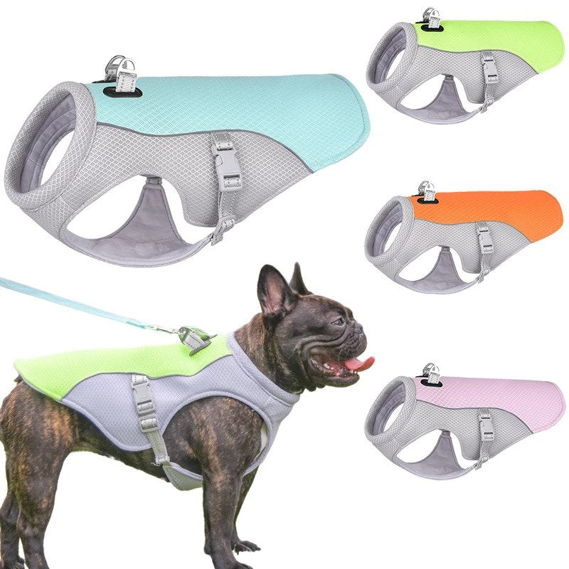 Gilet Rinfrescante Estivo per Bouledogue Francese, Traspirante, Resistente al Calore e Protettivo dal Sole