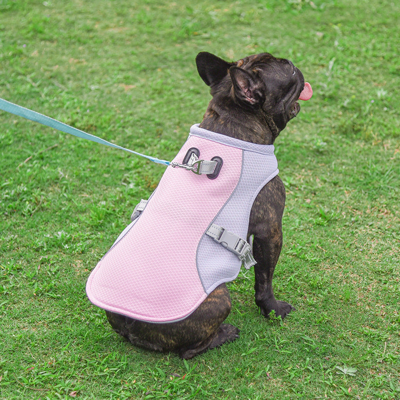 Gilet Rinfrescante Estivo per Bouledogue Francese, Traspirante, Resistente al Calore e Protettivo dal Sole