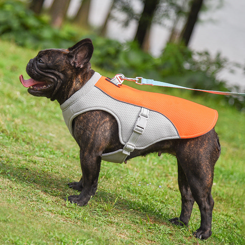 Gilet Rinfrescante Estivo per Bouledogue Francese, Traspirante, Resistente al Calore e Protettivo dal Sole