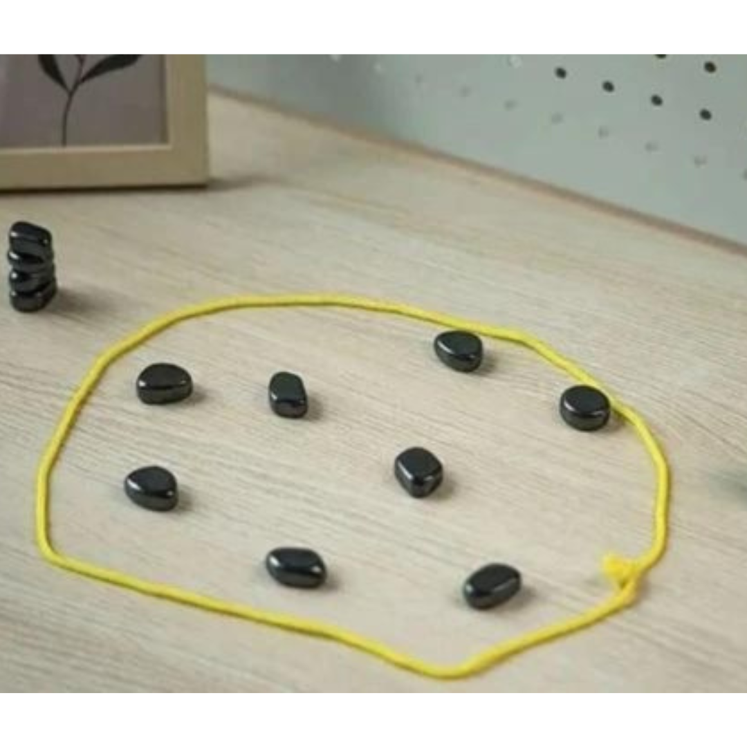 Gioco degli Scacchi Magnetici