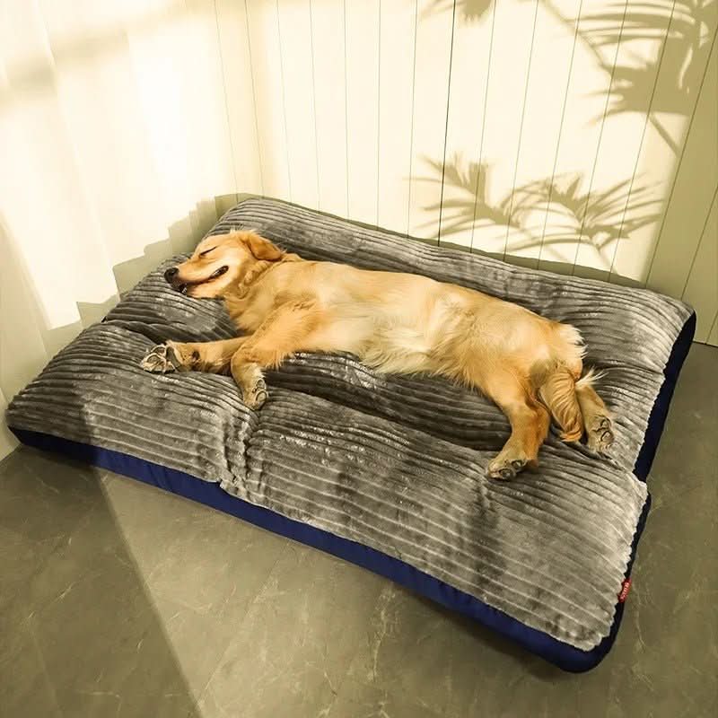 Letto Ortopedico per Cani Progettato per il Comfort