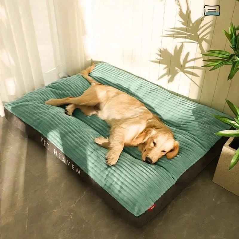 Letto Ortopedico per Cani Progettato per il Comfort