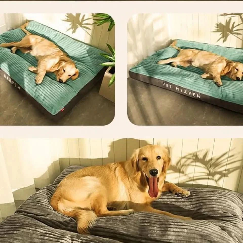 Letto Ortopedico per Cani Progettato per il Comfort