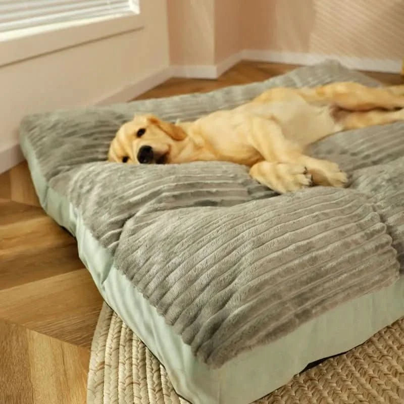 Letto Ortopedico per Cani Progettato per il Comfort
