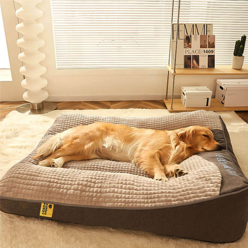 Letto per Cani con Protezione per la Colonna Vertebrale - Grande e Resistente ai Graffi