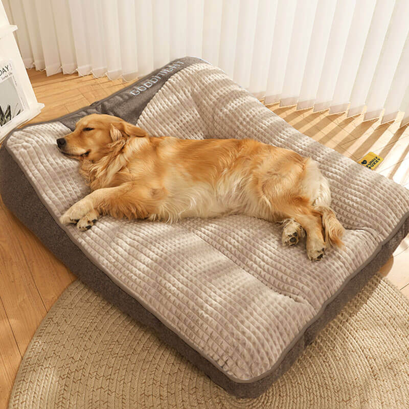 Letto per Cani con Protezione per la Colonna Vertebrale - Grande e Resistente ai Graffi