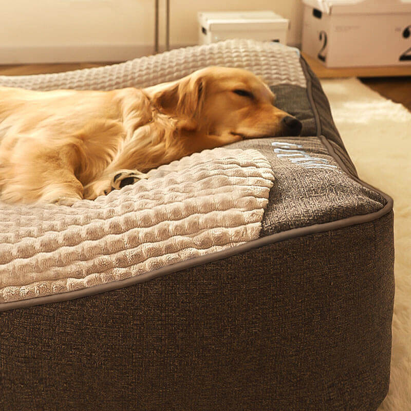Letto per Cani con Protezione per la Colonna Vertebrale - Grande e Resistente ai Graffi
