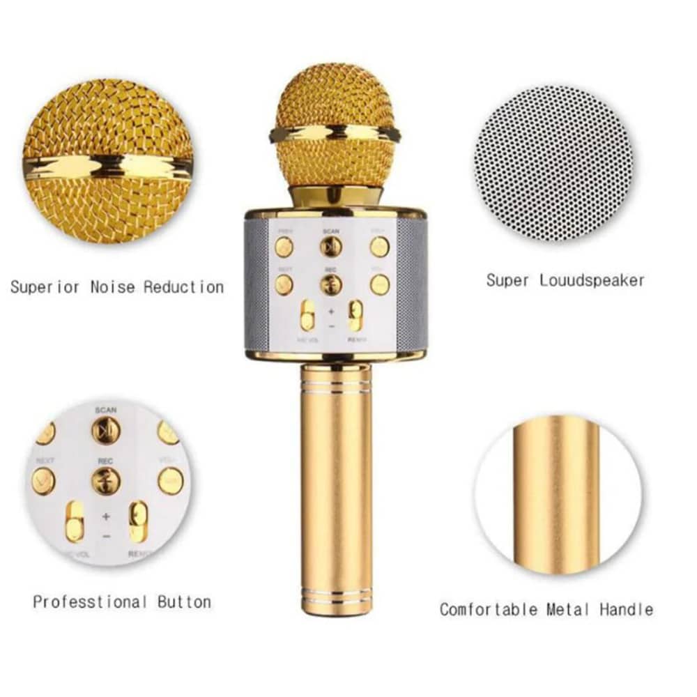 Microfono per Karaoke con Bluetooth e Altoparlante