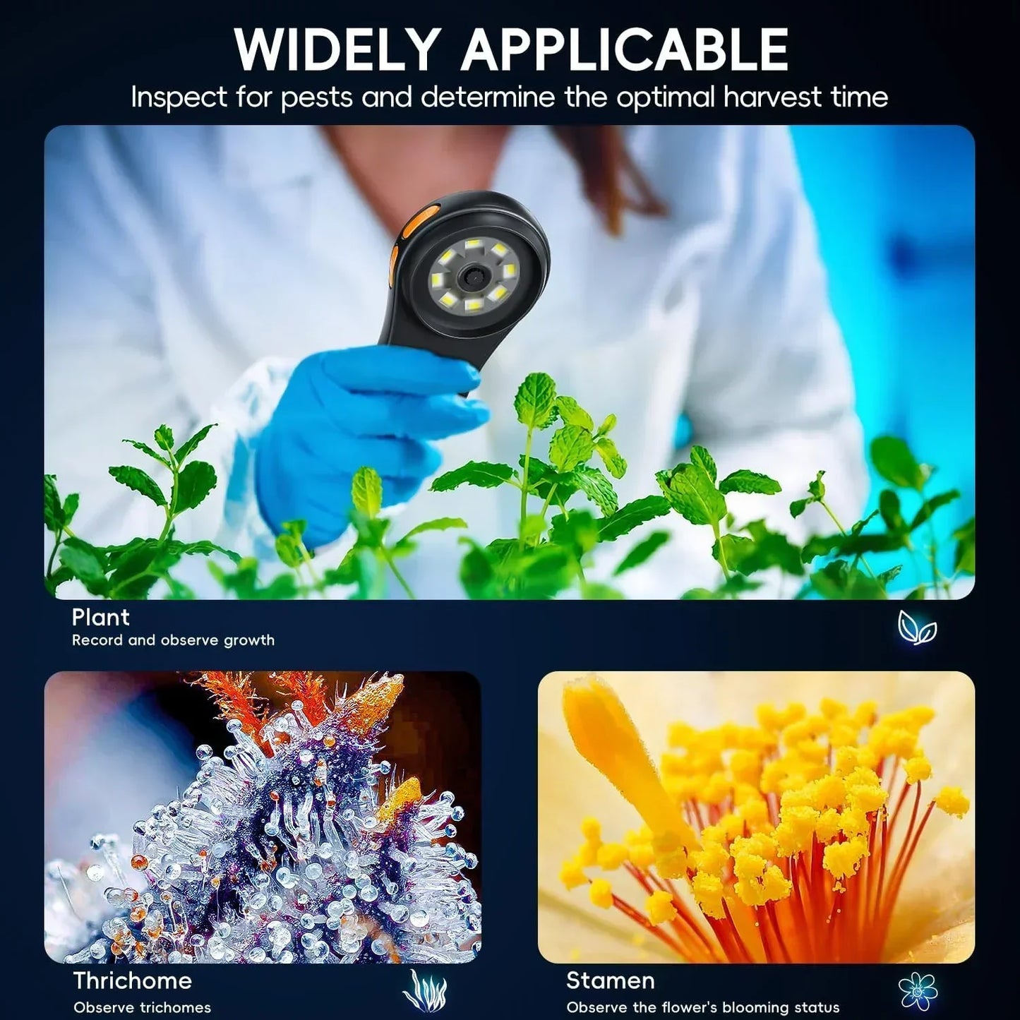 Microscopio digitale da tasca 500X con display HD