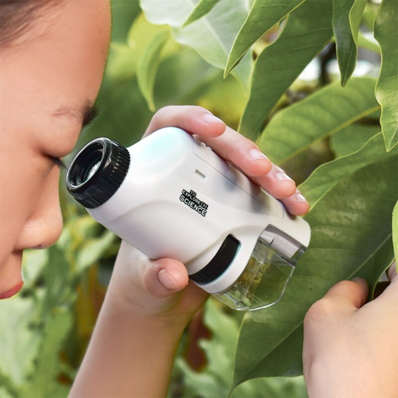 Microscopio tascabile a LED per bambini curiosi