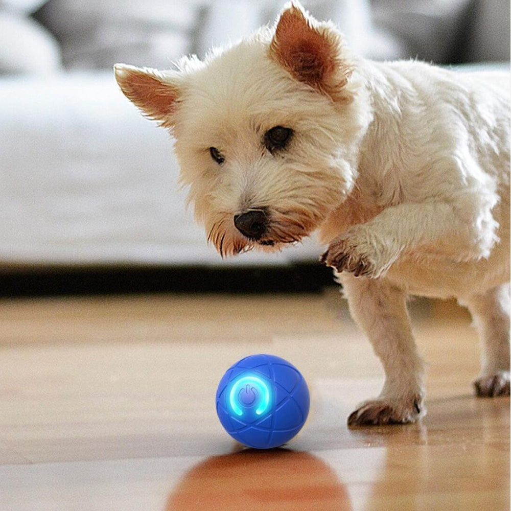 Palla interattiva automatica per cani e gatti