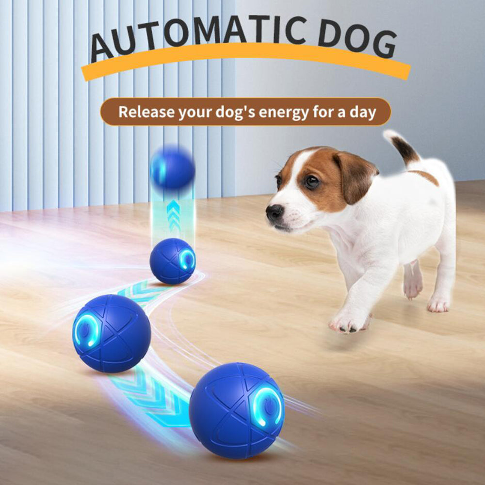 Palla interattiva automatica per cani e gatti